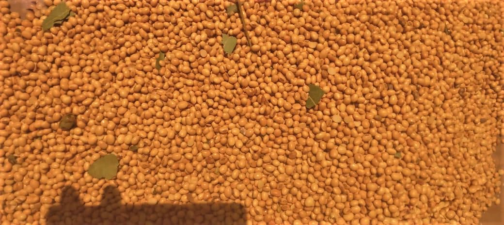 Supporting Soya Farmers in Savelugu: The UKAM Project